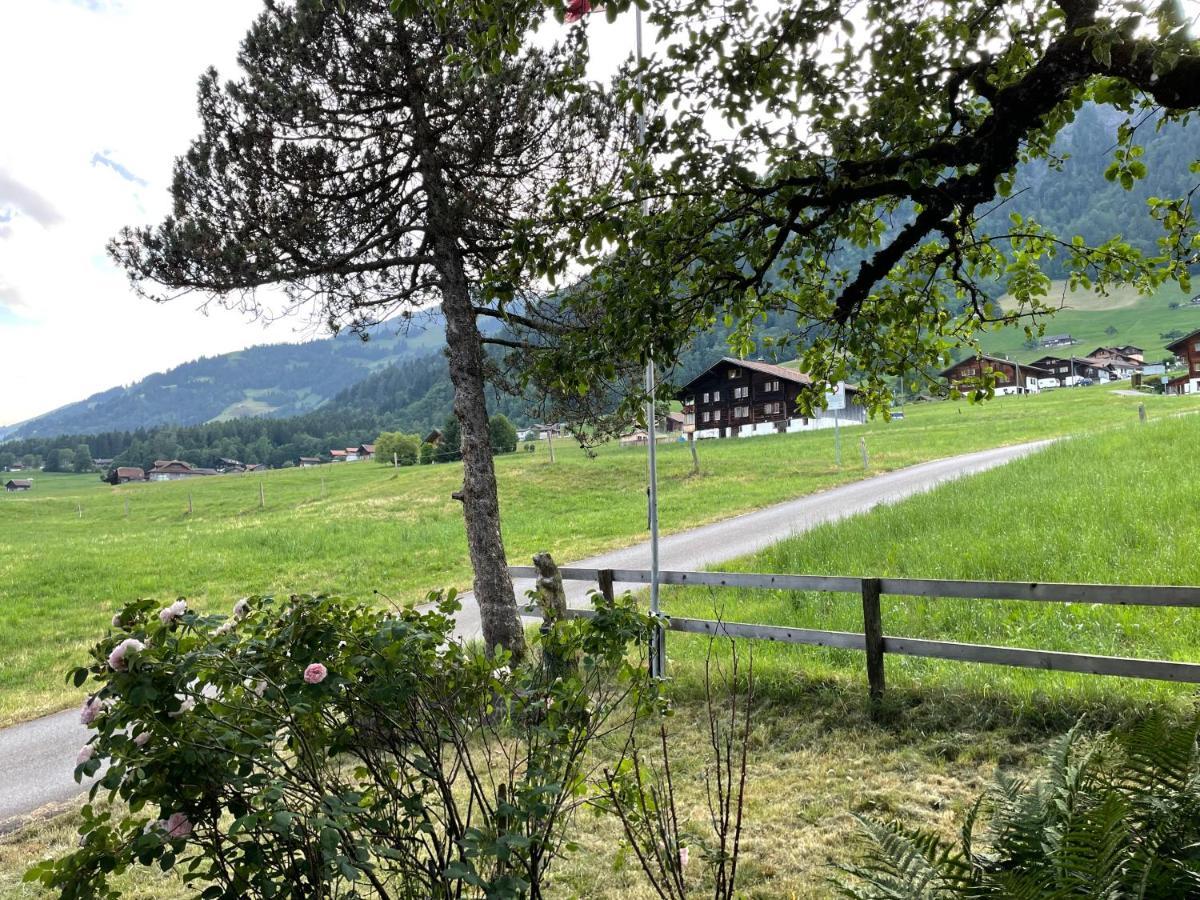 Edelweiss 4 Zi Ferienwohnung In Landhaus Frutigen Exterior photo