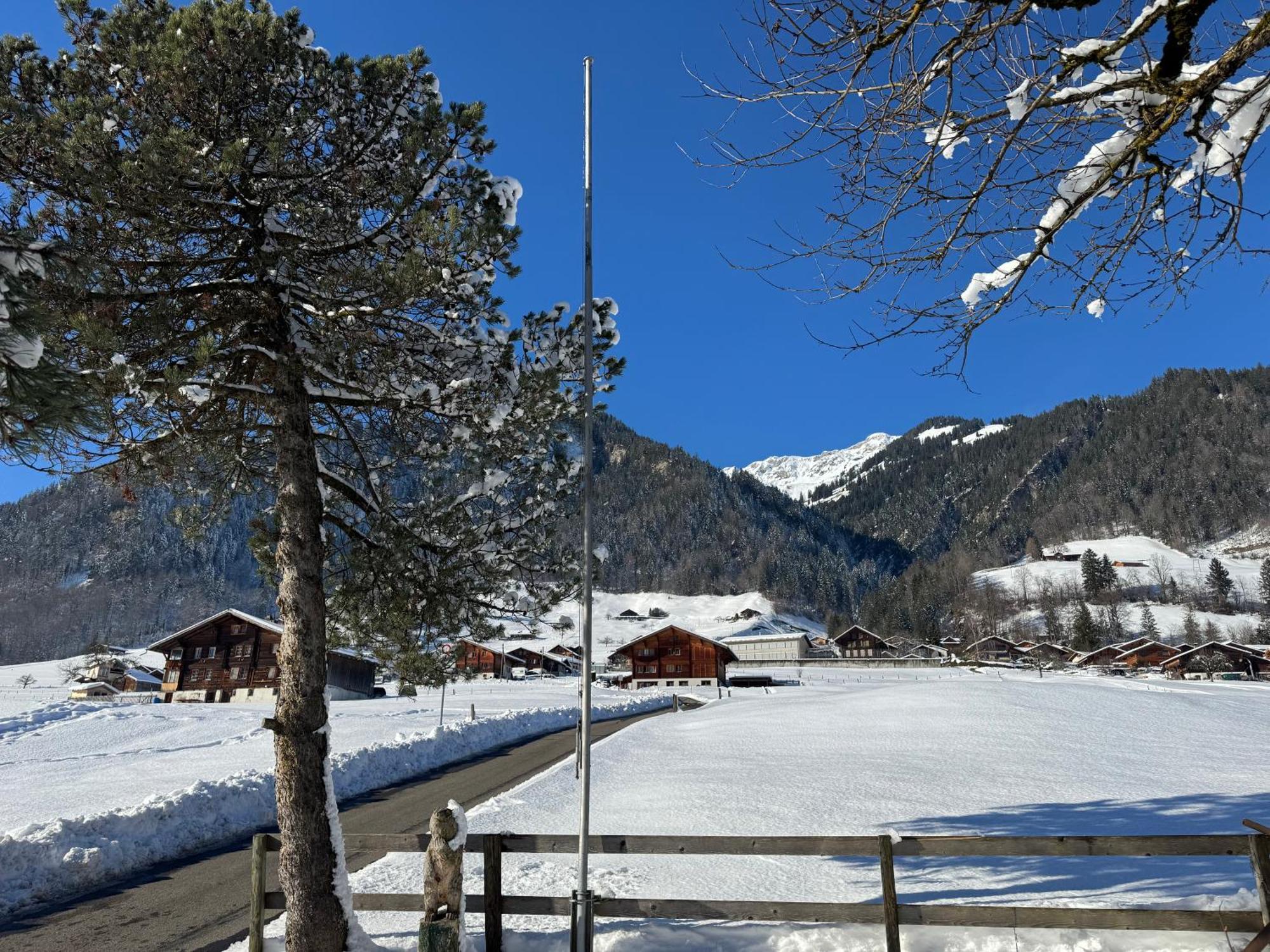 Edelweiss 4 Zi Ferienwohnung In Landhaus Frutigen Exterior photo